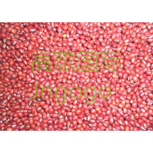 Экспорт Китайского Нового Урожая Хорошего Качества Красной Фасоли